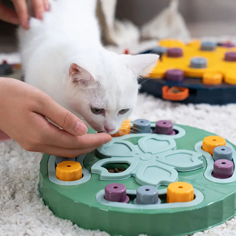 Distributeur de croquettes pour pattes