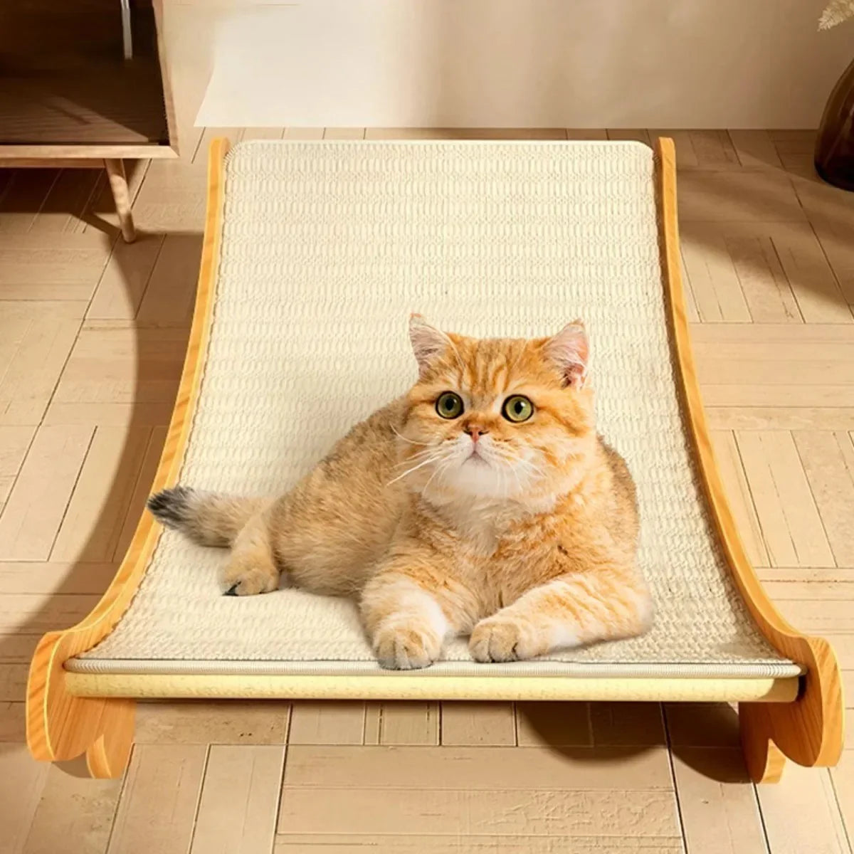 Fauteuil inclinable pour chat en bois à griffer
