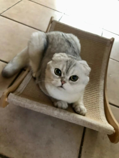 Fauteuil inclinable pour chat en bois à griffer