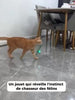 vidéo 6